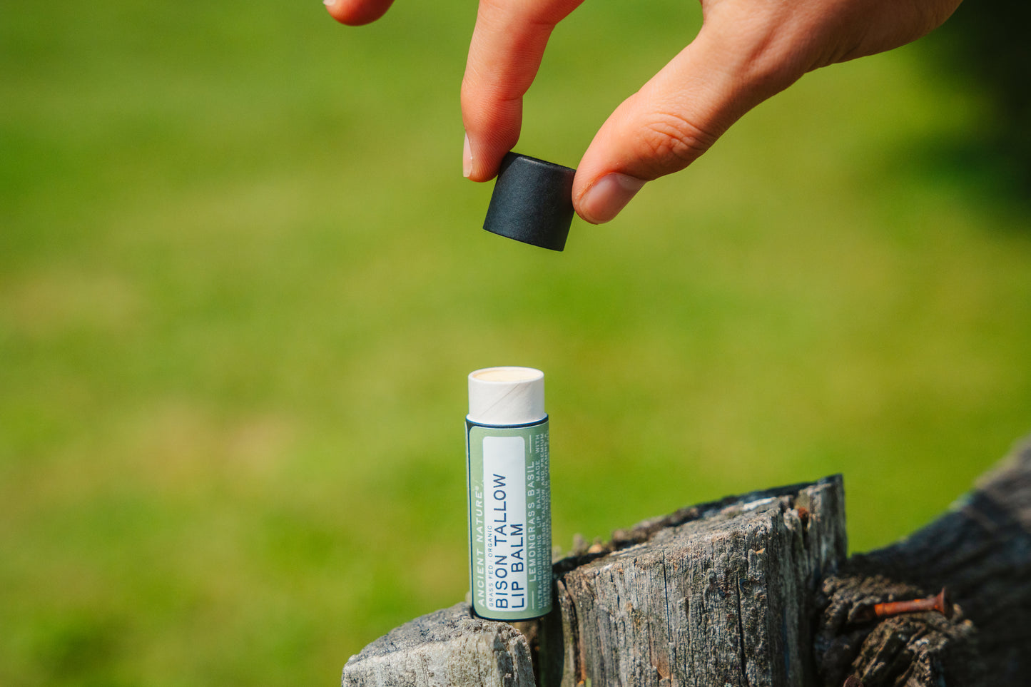 Bison Tallow Lip Balm