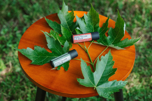 Bison Tallow Lip Balm
